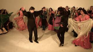 Шоу Театр Звёзды Ромэн