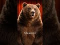 Az életed nem akciós polc  🏷️⏳ #comedy #medve #magyarhumor #standupcomedy 🌦️🌲🍎🐻