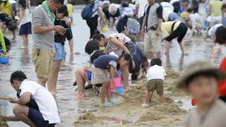 大阪・貝塚市の二色の浜で潮干狩り