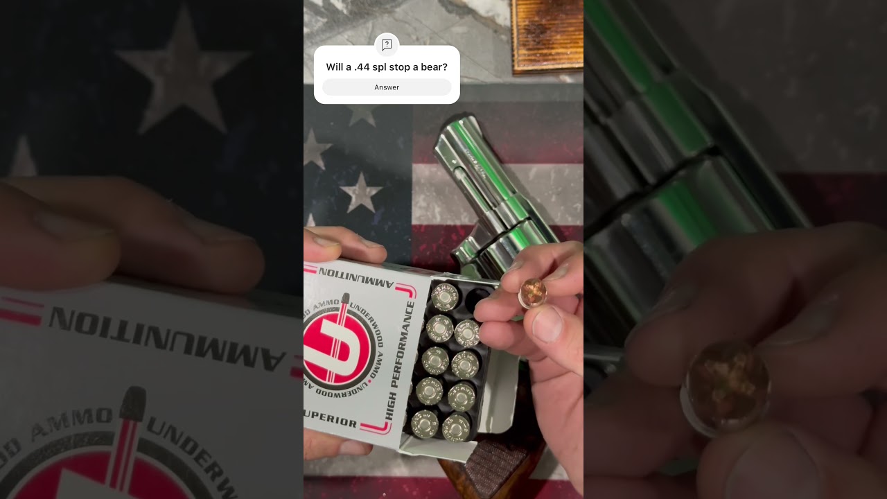 Will a .44 spl stop a bear?  