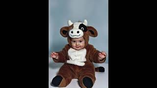 Baby Funny Video Cute Baby