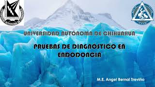Pruebas de diagnostico en endodoncia Pruebas de diagnostico en endodoncia