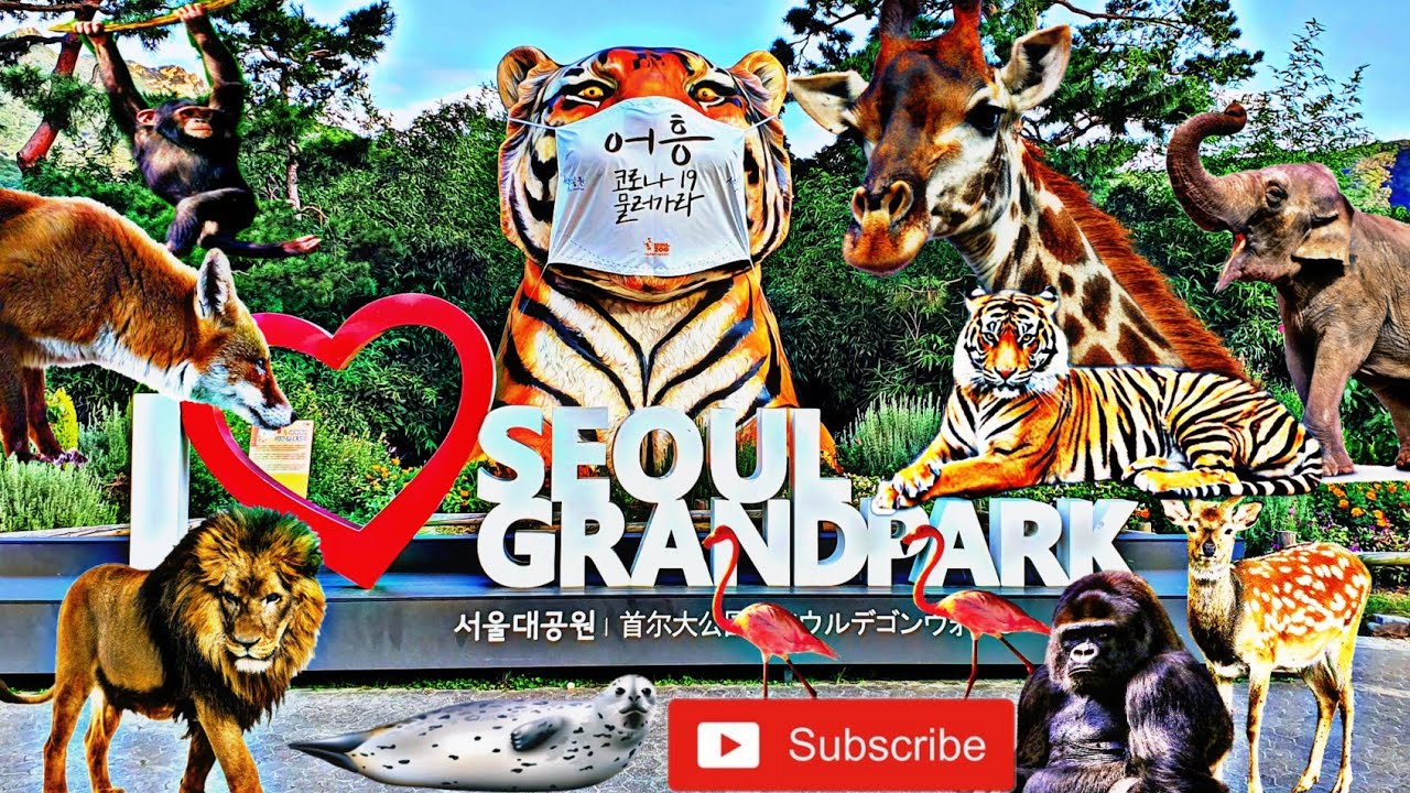 SEOUL ZOO (SEOUL GRAND PARK) YouTube