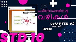 First Bell 3.0 STD 10 Biology പരിണാമത്തിന്റെ വഴികൾ Chapter 02 Part 03 Epi 07