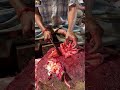 Pangash Belly Cutting 🔥 Satisfying Fish Skills #shorts