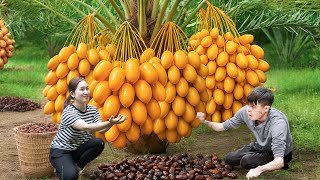 Harvesting Rare Golden Dates | Old-Fashioned Countryside Cooking