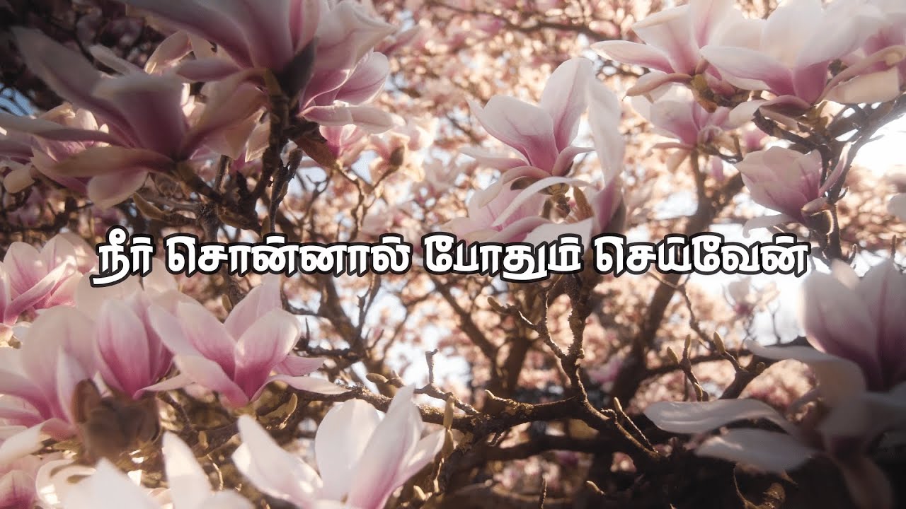      Neer Sonnal Pothum  Song  Lyrics Video Song  JESUS INFO 