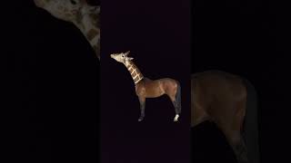#status #https://youtube.com/shorts/lJycsJ8cFlA?si=itB0XgI-Q8_DLohF