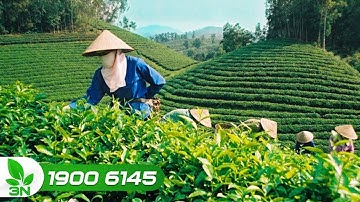 Đẩy mạnh liên kết chuỗi sản xuất - tiêu thụ nông sản