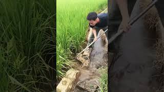 水路浚渫の工法 | 수로 준설 공법