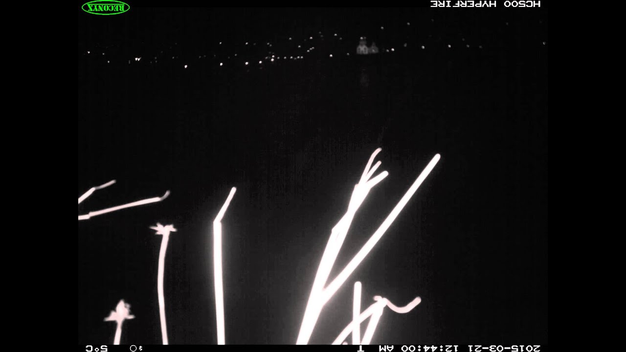 Sólarmyrking og fuglar (Sandavágur1)