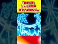 「最大の防御呪法」という誇大広告…　#shorts #bleach #ブリーチ