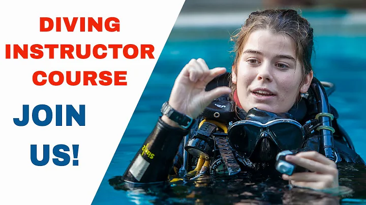 Scuba Diving Instructor Certification is your ticket to a dream job - DayDayNews