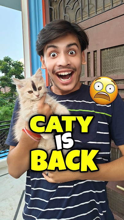Caty Is Back 💀😱 | Mini Vlog #shorts #minivlog #ashortaday #vlog #tranding #cats #cat