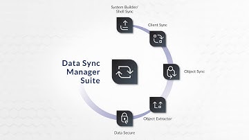 How Data Sync Manager (DSM) works