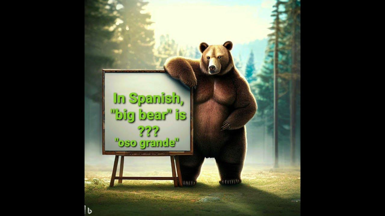 Big bear In Spanish learnspanish shorts YouTube
