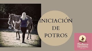 Iniciación de Potros 1. Círculos a la cuerda.