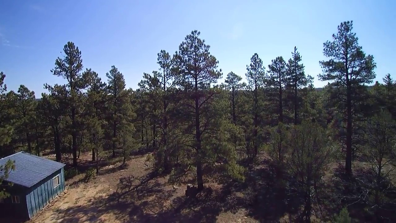 Elk hunting property YouTube