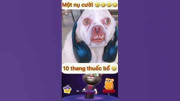 Những tình huống hài hước của động vật | 23 #shorts #funny