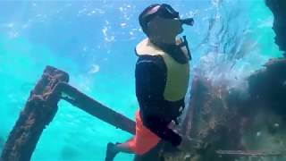 Reef and shipwreck snorkeling tour in cancun