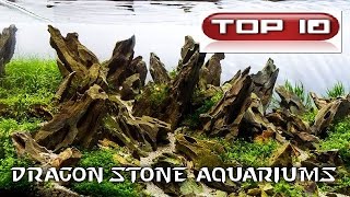 Top 10 Dragon Stone Aquariums 🐠