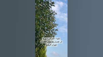 سورة آل عمران / الآية ١٩١ بصوت القارئ مهران هركي