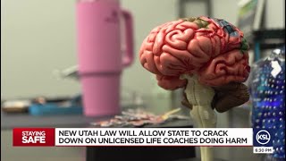 New law aims to crack down on unlicensed life coaches practicing mental health therapy