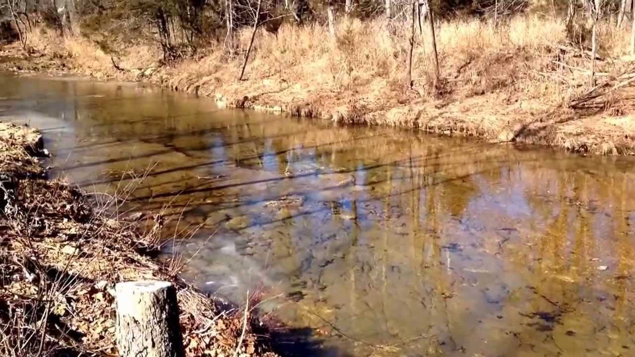 Scenic Dry Creek at Fair Winds near Cherryville MO. YouTube