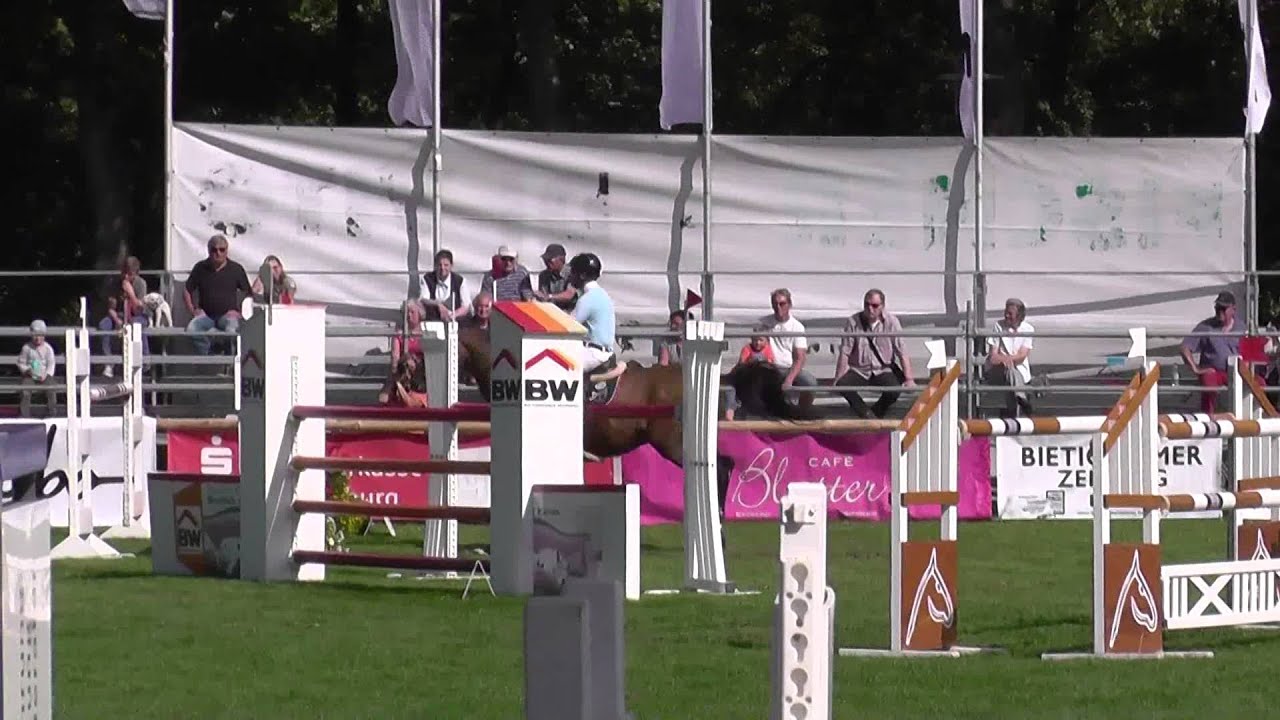 MSM Quantas, Quidams Rubin x Carolus