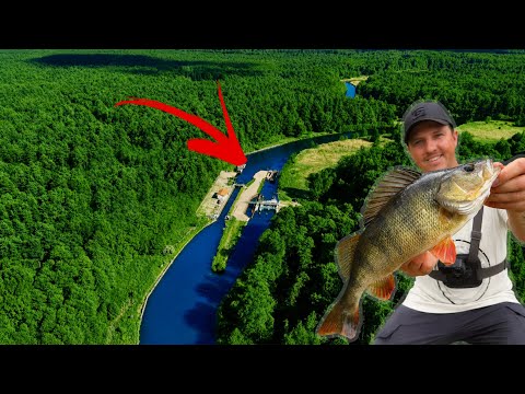 What’s still living in this forgotten forest lock!?