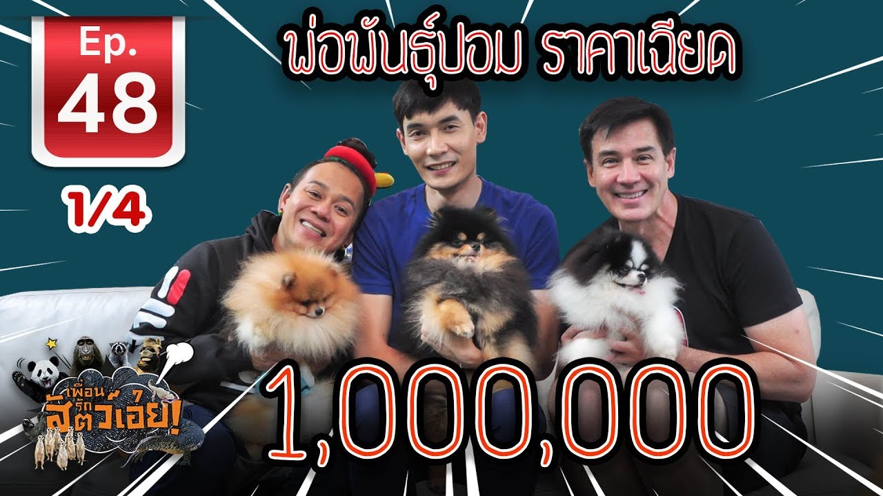 พ่อพันธุ์ปอมราคาเฉียด 1,000,000 - เพื่อนรักสัตว์เอ้ย EP 49 (1/4)