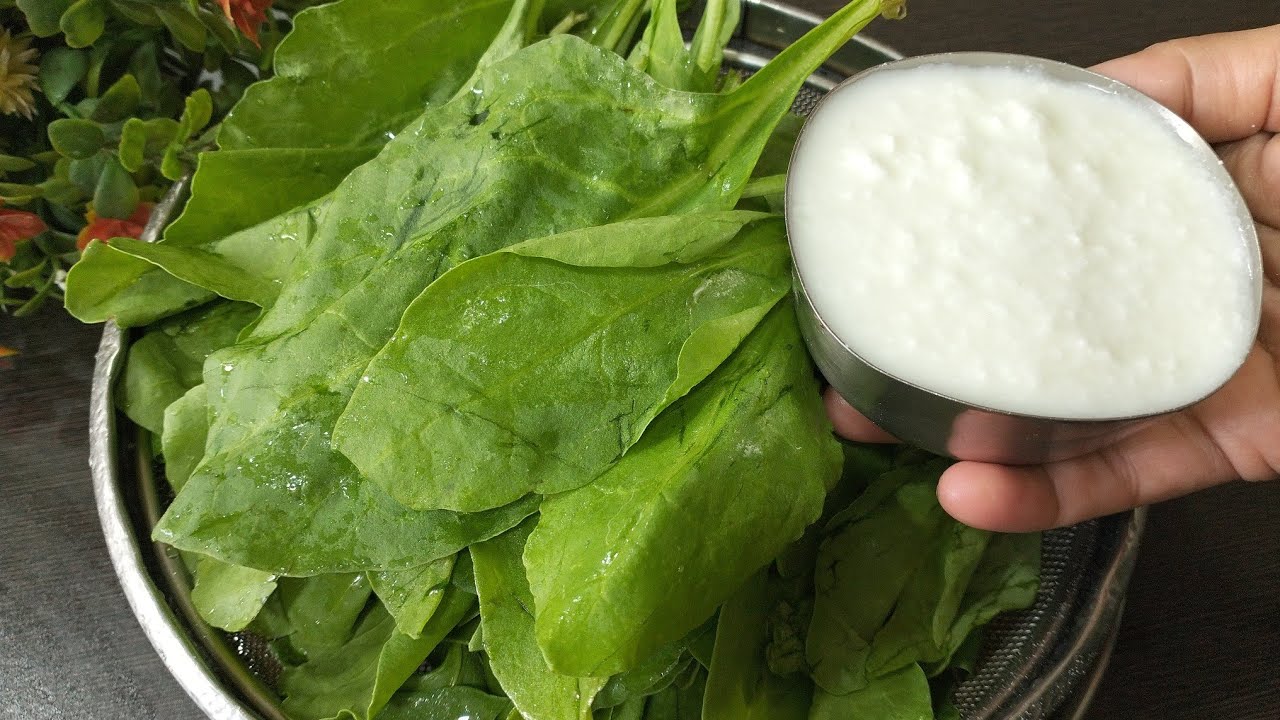 ಪಾಲಕ್ ಸೊಪ್ಪು ಒಂದು ಕಪ್ ಮೊಸರು ಇದ್ರೆ ಐದೇ ನಿಮಿಷದಲ್ಲಿ healthy ರೆಸಿಪಿ ಮಾಡಿ ಎಲ್ಲಾ ತಿಂಡಿಗೂ ಬೆಸ್ಟ್ ಕಾಂಬಿನೇಷನ್