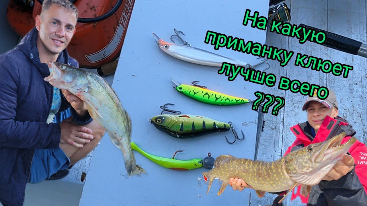 Наши лучшие приманки для судака и щуки в Голландии!