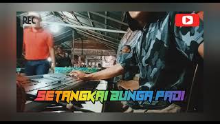 SETANGKAI BUNGA PADI - REMIX (Djhe Aldho Kuncoro) Cover Korg Pa 50🎶