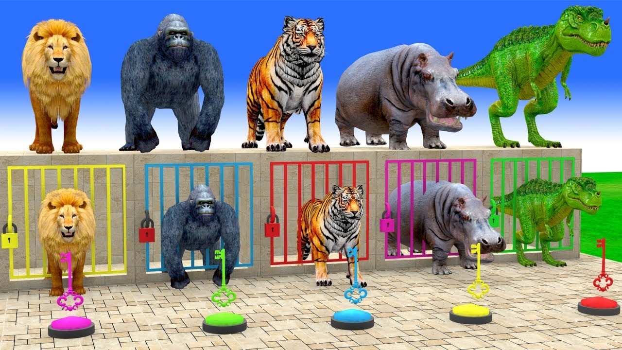 Long Slide Game With Cow Elephant Gorilla Hippopotamus Tiger 3d Animal Game Funny 3d AnimalsVideo
