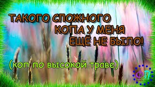 ТАКОГО СЛОЖНОГО КОПА У МЕНЯ ЕЩЁ НЕ БЫЛО😬! КОП ПО ОЧЕНЬ ВЫСОКОЙ ТРАВЕ МЕТАЛЛОИСКАТЕЛЕМ Rutus Argo NE!