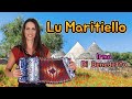 Lu maritiello vino vino irma di benedetto  organetto abruzzese accordion