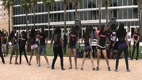 UCF Sigma Lambda Gamma