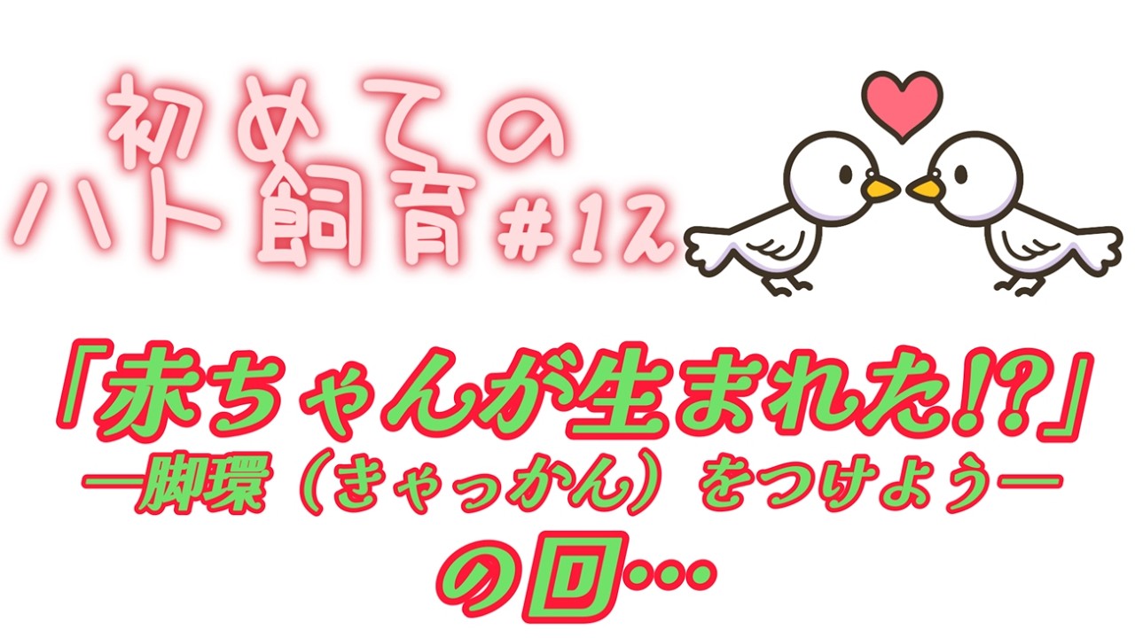 鳥を抱える子供 Parent and child bird photography] We encountered great tits and
