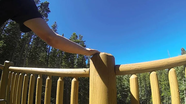 Hand feeding Gray Jay at cabin in Pike National Forest