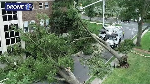 Quick-moving storms cause flooding, downed trees in parts of Camden County, New Jersey