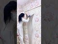 #Modern simple style decoration #Interior decoration construction #home #homedecor #shortvideo
