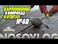 Карпфишинг в вопросах и ответах #40, Артём Колесников