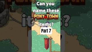 Can You Name These Pony Town Items (Part 7)