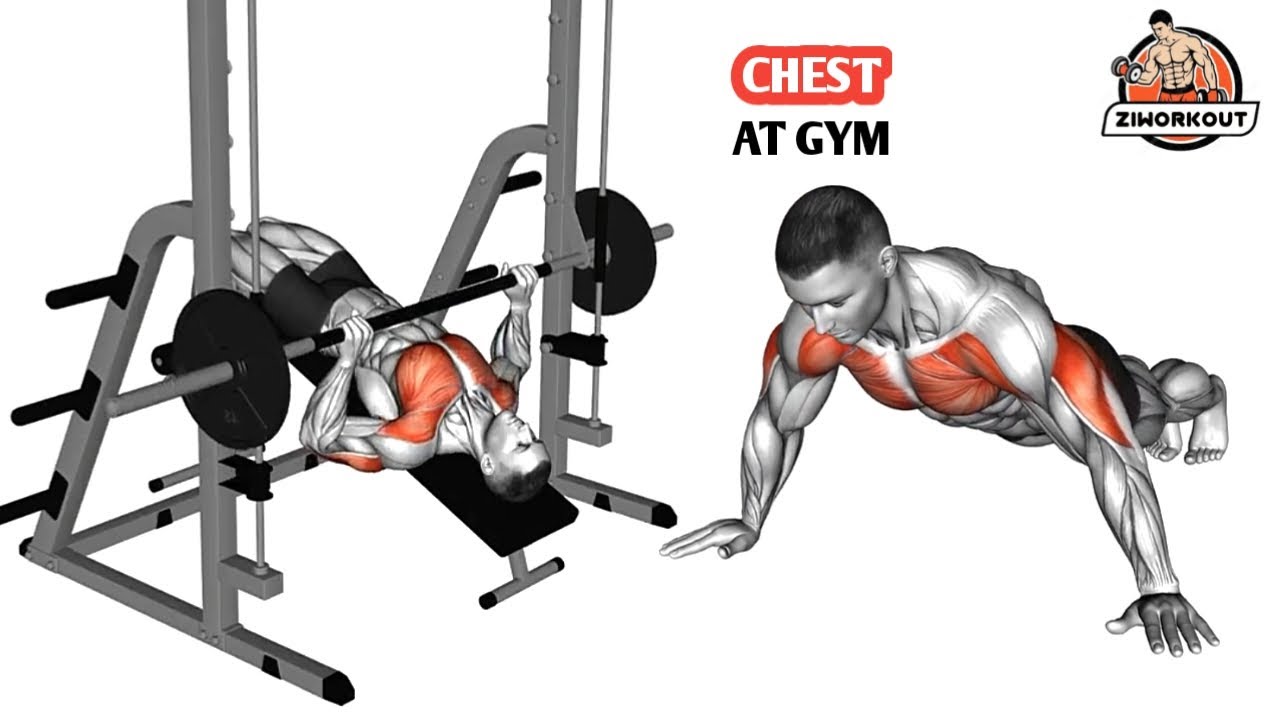 Full Chest Blast 💥 6 New Gym Chest Moves - YouTube