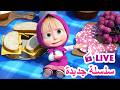ماشا والدب LIVE STREAM سلسلة جديدة Masha And The Bear