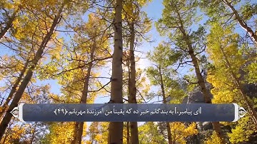 آیات صحابه در قران - سوره حجر آیه 88