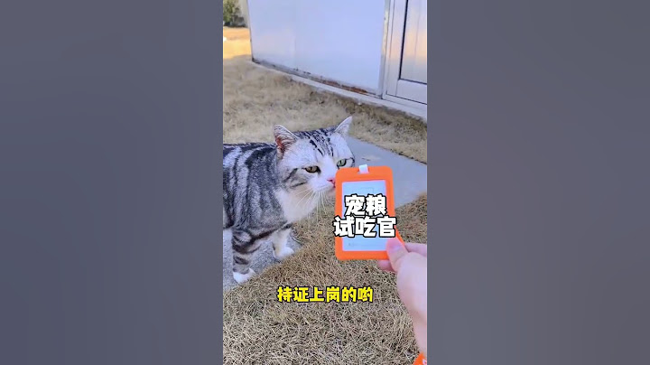 同时撸300多只猫狗也太爽了#小奶喵 #领先换我上厂 #领先烘焙猫粮 #领先青年