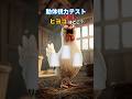 ヒヨコはどこ？ #クイズ #動体視力 #ミニゲーム