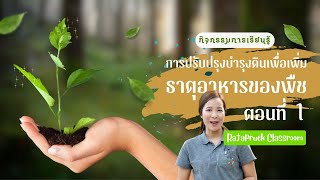 การปรับปรุงบำรุงดินเพื่อเพิ่มธาตุอาหารของพืช ตอนที่ 1 | ราชพฤกษ์ Classroom